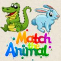 Match The Animal